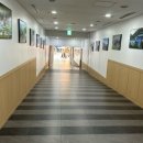 비바할인마트 | 비발디파크 소노벨 지하 비바플렉스몰 식당 오락실 놀이기구 회전목마 가격 마트(+ 아기 기저귀...