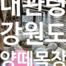 하늘길쉼터민박 이미지