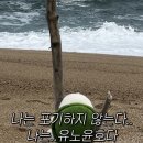동해반점 이미지