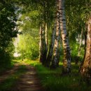 지금 여기 이미지