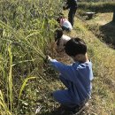 평화도서관 이미지