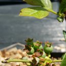 오가네농장 이미지