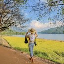 다라미자운영마을 이미지