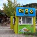 아원목장 이미지