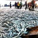 자갈치약국 이미지