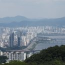 서울 조선일보