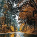 산들 펜션 이미지