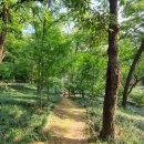 화원동산 전망대 이미지