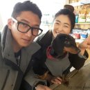 도그파우 이미지