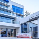 파니아토 이미지