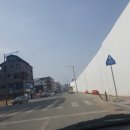 월천동물병원
