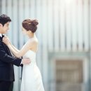 피오나 이미지
