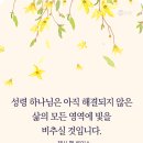 아직 해결되지 않은 이미지