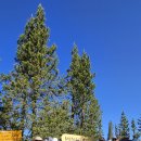 Ansel Adams Wilderness/Garnet-Thousand Island LK via River/Shadow LK trail 이미지