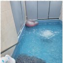 아델쉼표