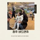 앤버드 | 매번가는 키즈카페 대신 여기! 청주 버드앤쥬에서 특별한 동물 체험 솔직 후기