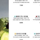 플로라21