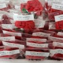 녹산주민문화회관 이미지