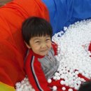 리라유치원 이미지