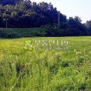 도화리농장 이미지