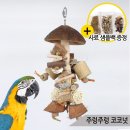 블루코코넛