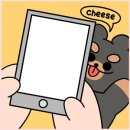 채리스튜디오