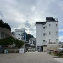 평화주택 | 삼척 오션뷰 카페 평화주택커피☕ 골든리트리버와 바다를 보다