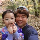 팔영산야영장 이미지