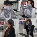 개미스포츠