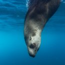 천호1동주민센터 이미지