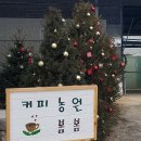 도곡1-111 이미지