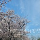 (주)명지부동산중개법인 이미지