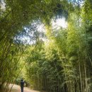 반구대팜스테이 | 울산 가볼만한곳 <반구대암각화> 여행기::신비로운 자연으로의 여행