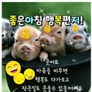 웃으면복돼지 이미지
