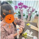 리라피아노음악교습소 - 목포시 산정로 247 | 리라피아노음악교습소