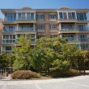 분당-297 이미지