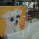 육림고개 서민슈퍼 이미지