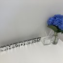 메디테스 이미지