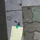 신길역~견인차량 보관소 사이 | 신길 차량보관소 후기