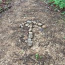 하룻밤 궁궐터 | 단양 도락산 우중산행 등산코스 및 후기(하룻밤궁궐터 최단코스 출발)