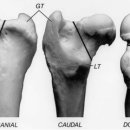 미사숲동물의료센터 이미지
