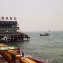 청사포와봄