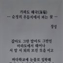 춘자네식당 이미지