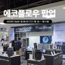 에코플로우 팝업스토어 후기｜잠실 하이마트에서 직접 체험 가능한 캠핑 필수템 총집합