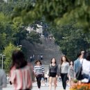 인싸 - 북구 동천로24길 17-15 | 인싸