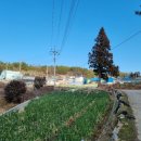 옥동리마을회관 이미지