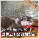 3532 | 울진 여행 민물고기생태체험관 내돈내산 후기(아이랑 가볼만한 곳)