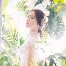 다게르 이미지