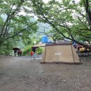 반곡유원지 이미지