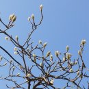 중마루공원 이미지